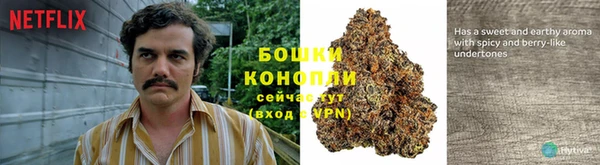 амф Нефтекумск